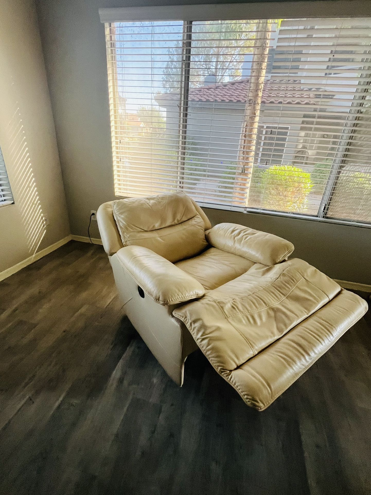Leather Power Recliner