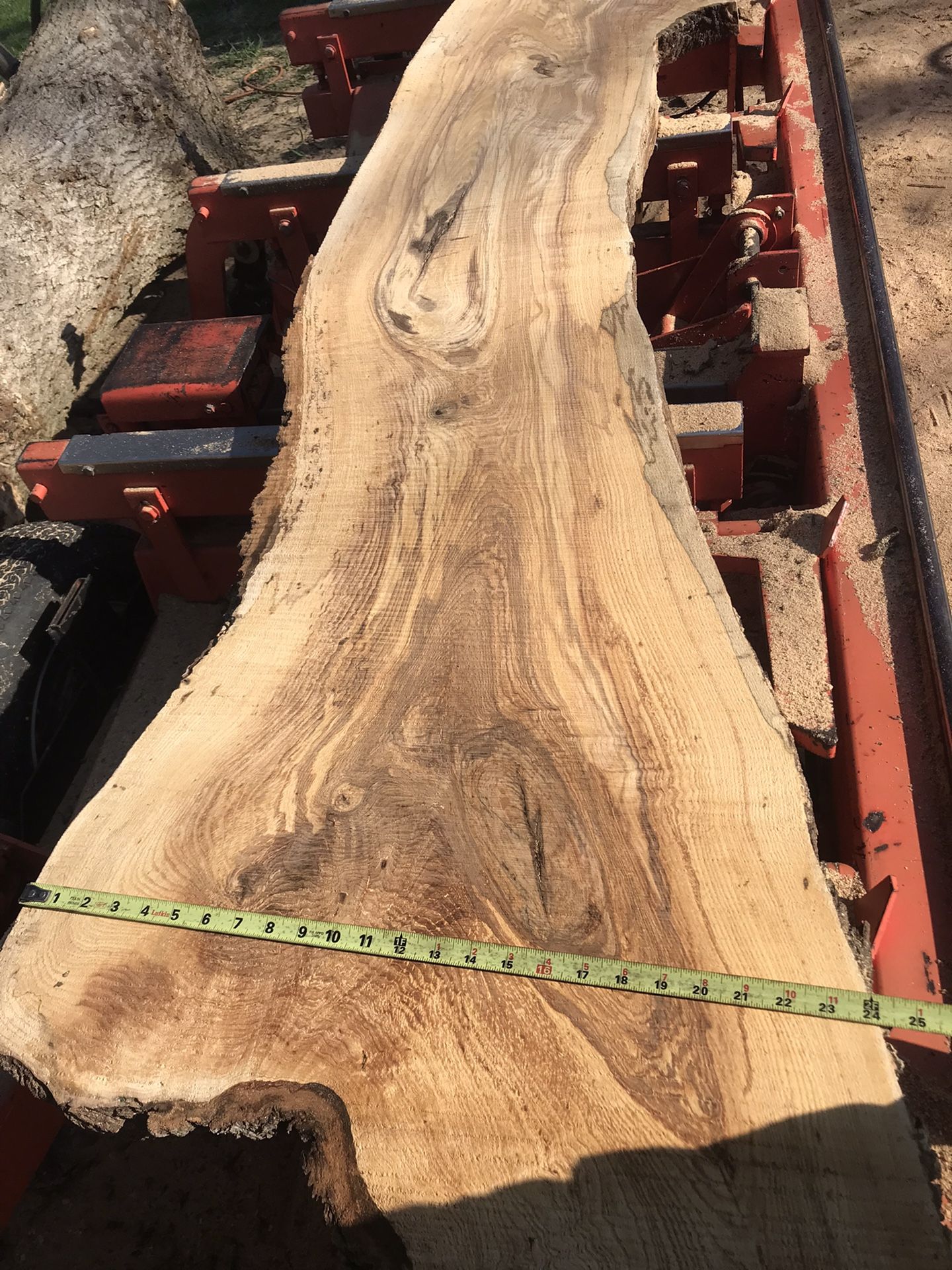 Live Edge2 Inch Thick Ash Slabs