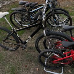 29” Bike