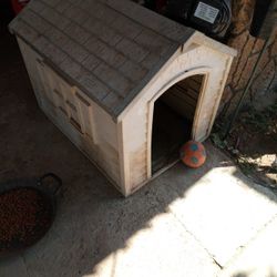 Dog House 