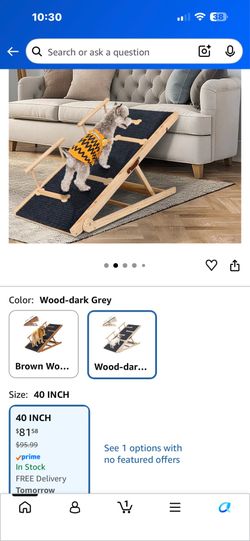 Pet ramp new!