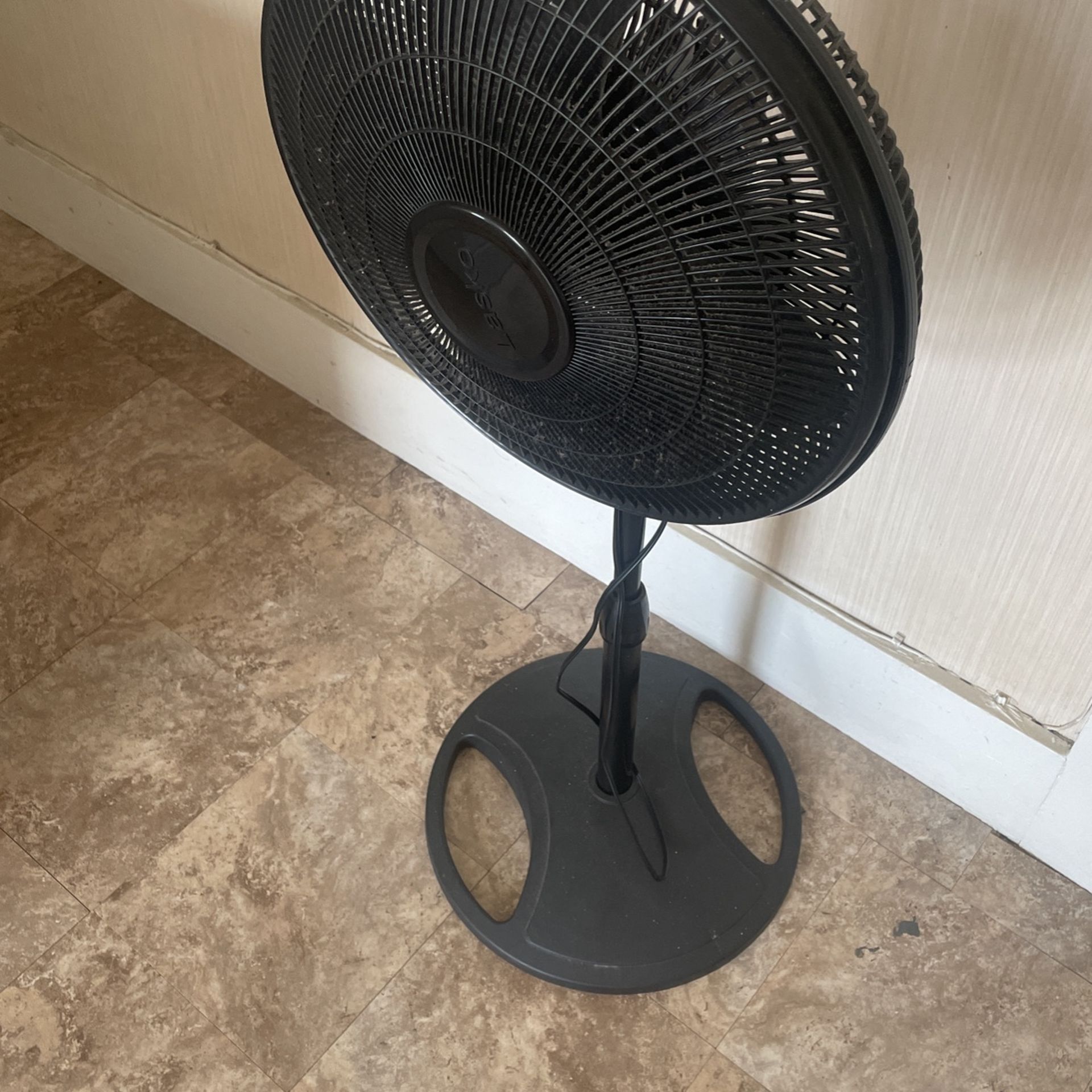 Fan