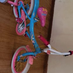 Girl Kid Bike
