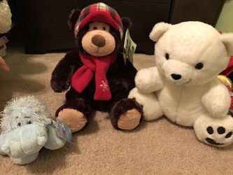 Stuffed animals (additional activities)