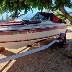 10 Passenger Motorboat 