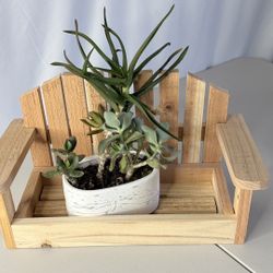 Park Bench Display Tray