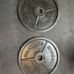 Cap 45lb Plates x 4