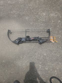 Bear Archery