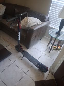 Gotrax Electric Scooter