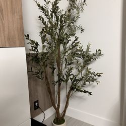 Olive Trees Artificial Indoor, 6FT Tall Faux Olive Tree with White Tall Planter, Artificial Plants with Natural Wood Trunk and Lifelike Fruits for Hom