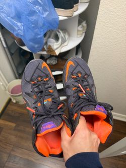 Lebron 12 Instinct