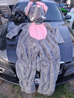 Elephant