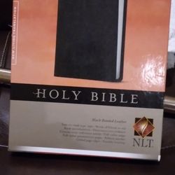 Holy Bible 