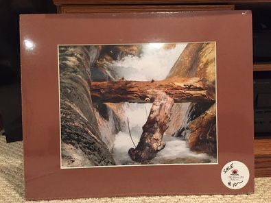 Nature Photographs that are matted