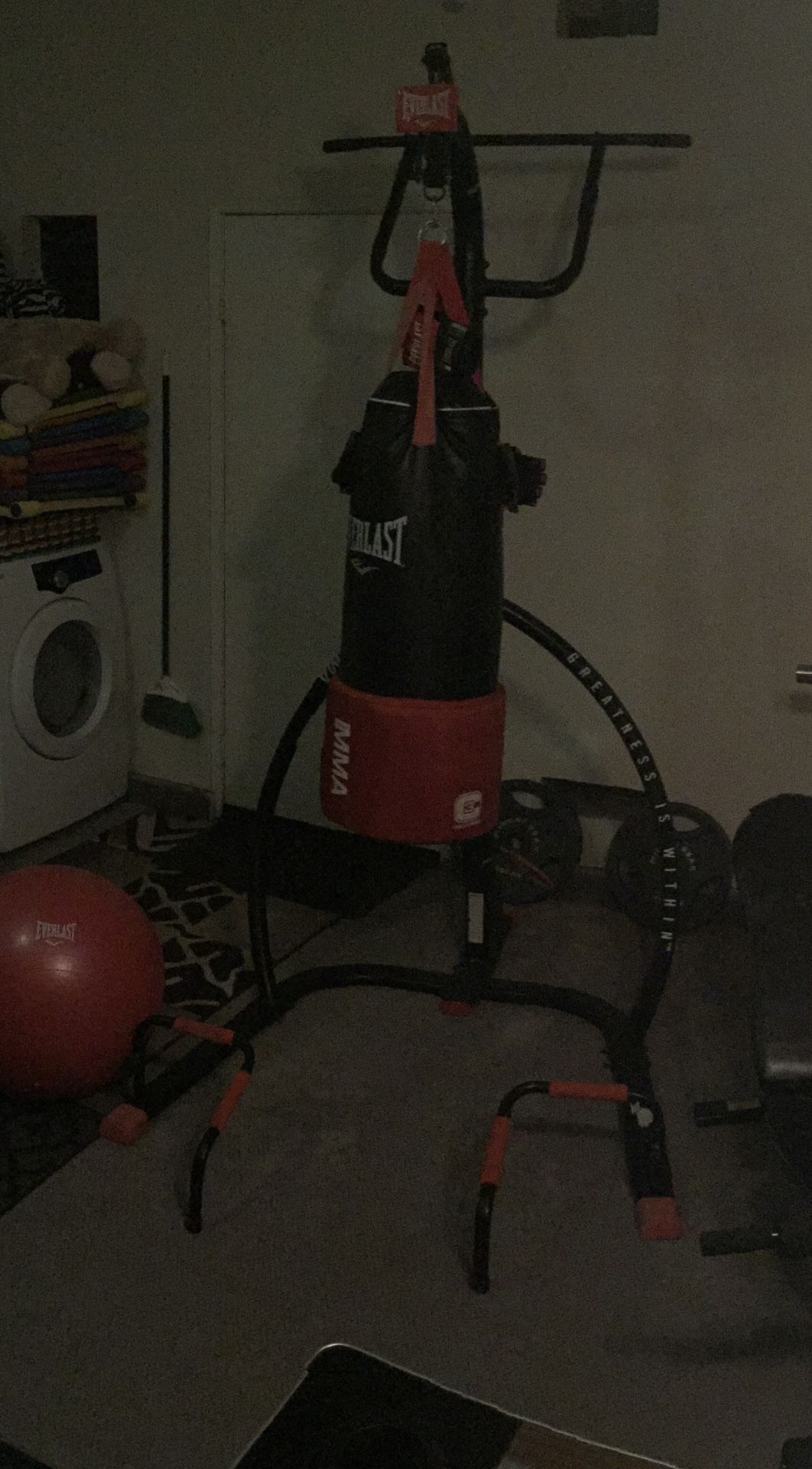 Everlast Punching Bag Stand with pull Up Bar And Push Up Bars