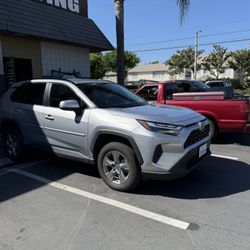 Tint For Sale