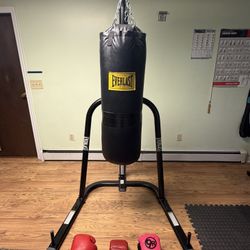 Everlast Punching Bag And Stand 
