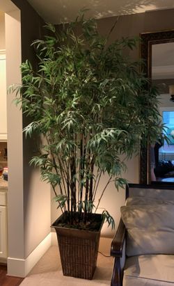 8ft Bamboo tree- artificial