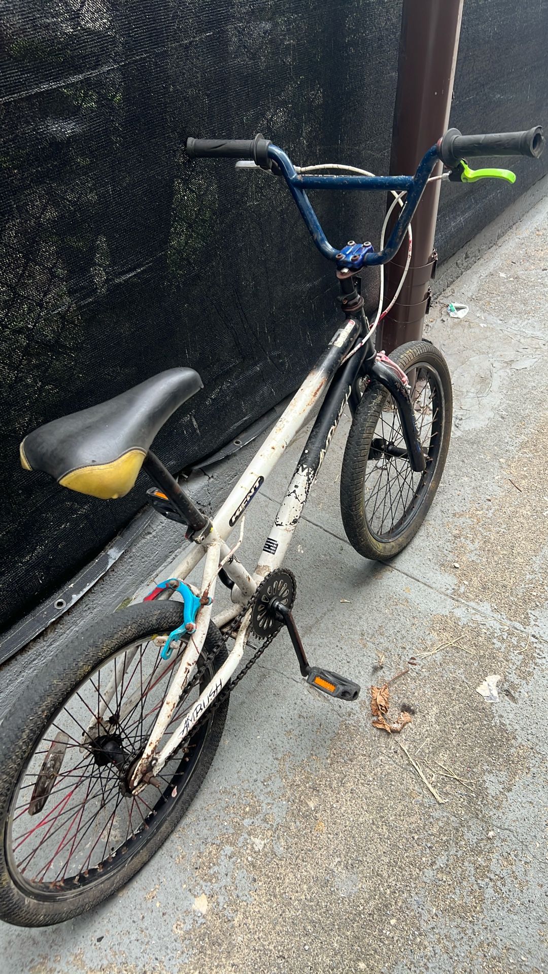 This. Fashion. Bike