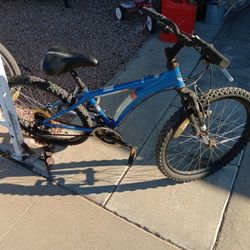 Cobra Youth Mountain Bike