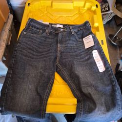 Signature by Levi Strauss Mens Straight Fit Jeans Size W29 L29 0503