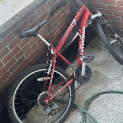 Bike