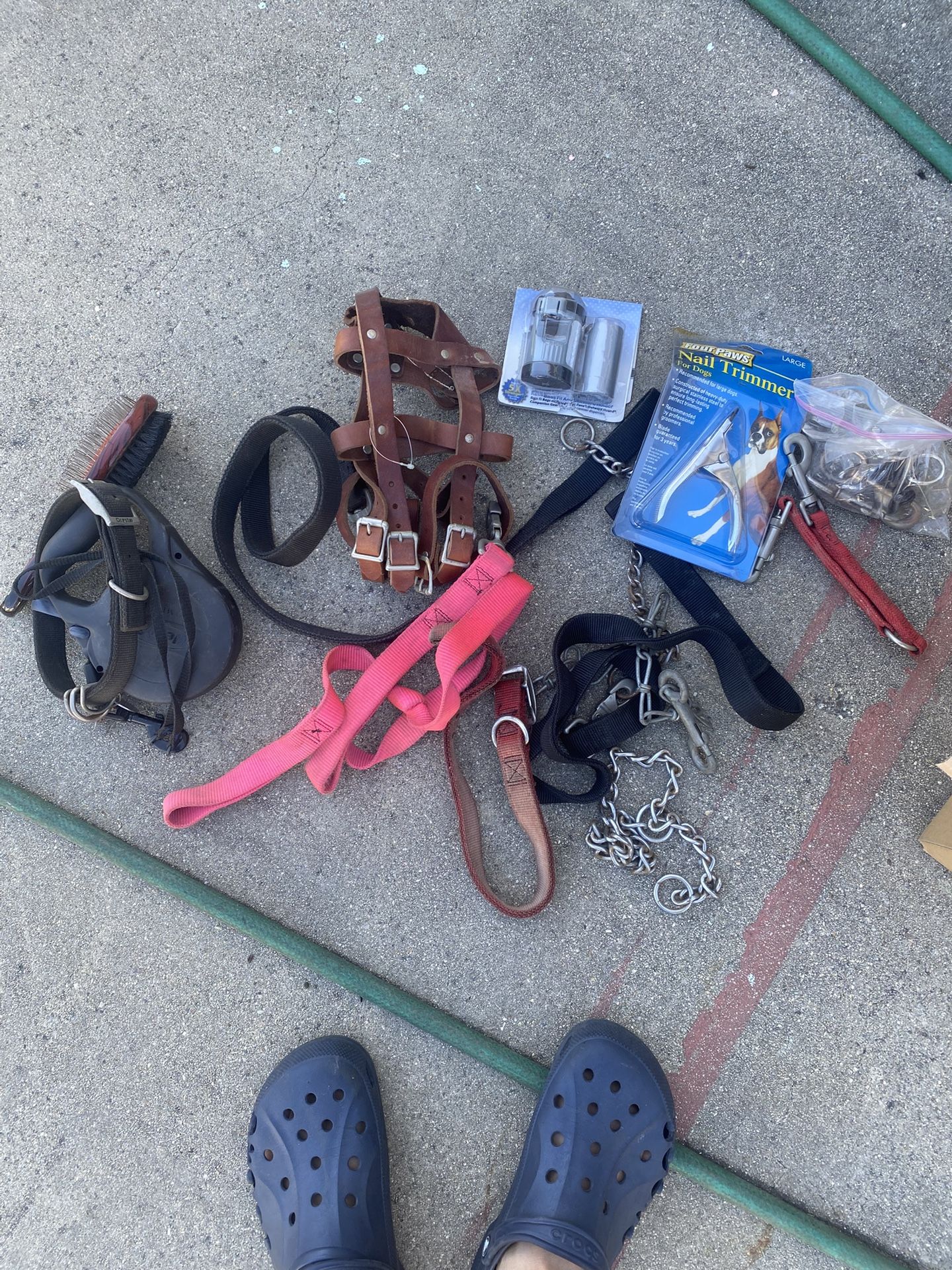 Dog Collars And Misc.