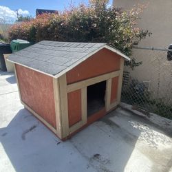 Dog House 