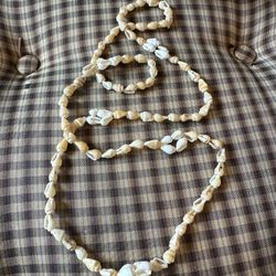 Beach 🏖️ Shell 🐚 Necklace