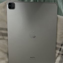 IPad Pro Max TIKTOK INSTALLED