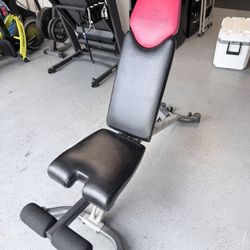 Bow flex Workout Bench