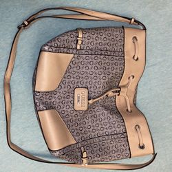 Guess Purse 