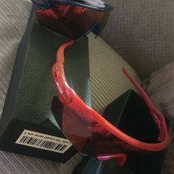 Jaxxon Sunglasses 
