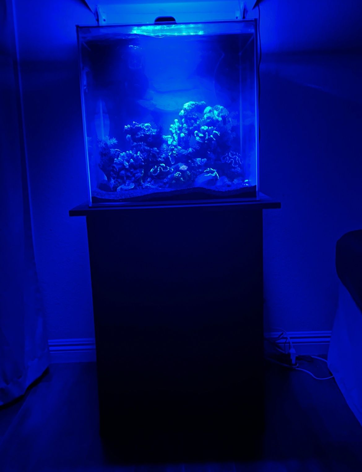 35 Gallon Cube Fish Tank With Stand 