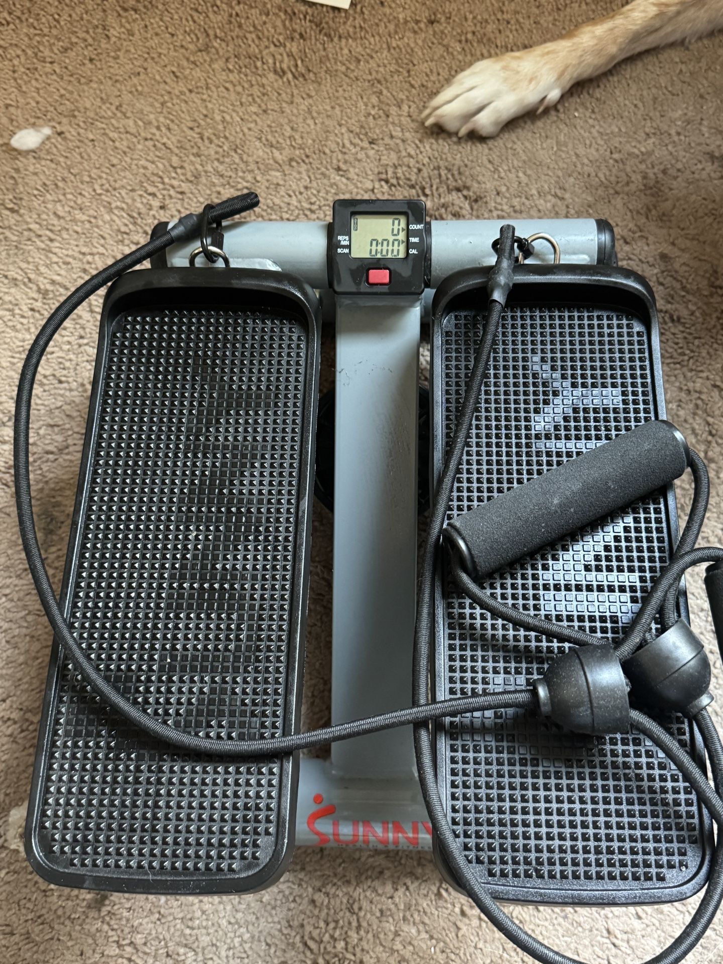 Sunny Stepper Machine