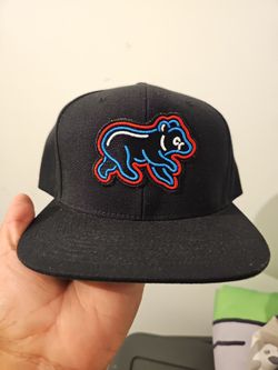 CUBS HAT