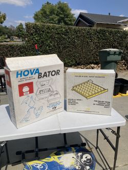 Hova Bator Egg Incubator With Automatic Egg Turner