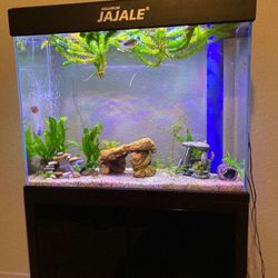 55 Gallon Aquarium 