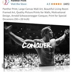 Arnold Conquer Canvas 
