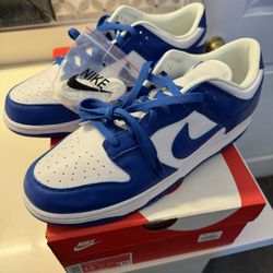 Nike Dunk Low Kentucky Size 13