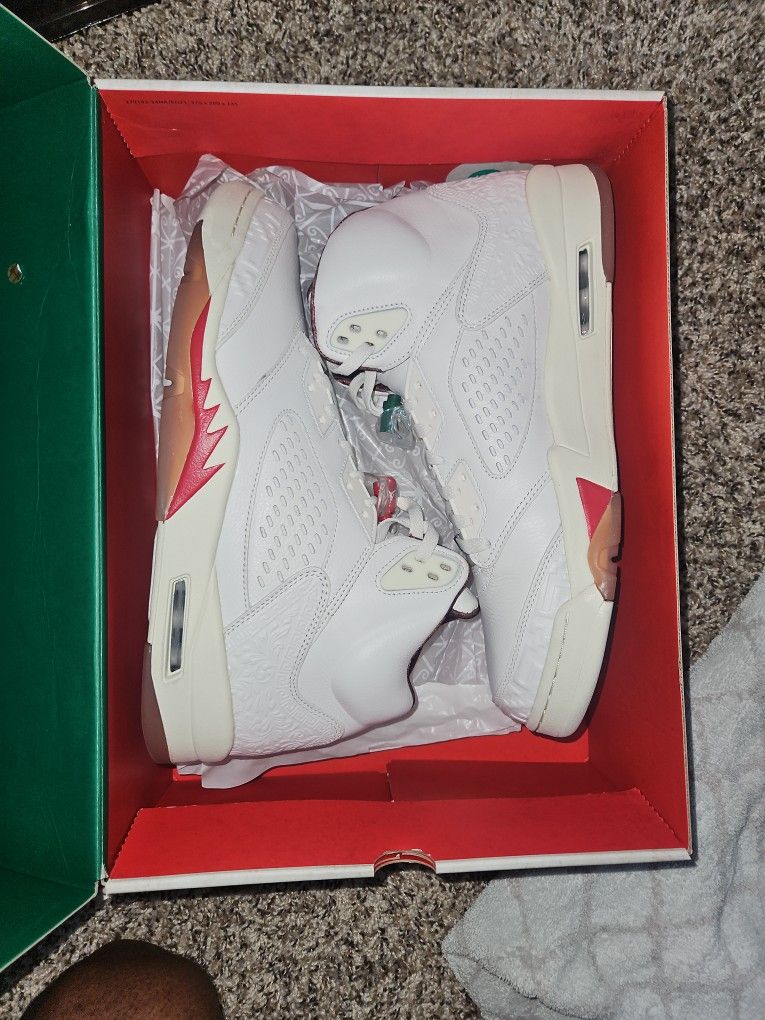 Air Jordan 5 ( EL GRITO
