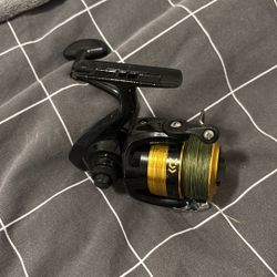 Shock 2500 Reel
