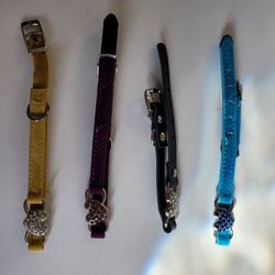 Dog Collars