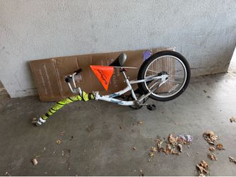 Kids trailer cycle