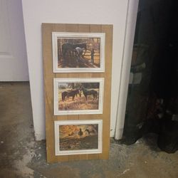 Home decor each picture is a collector