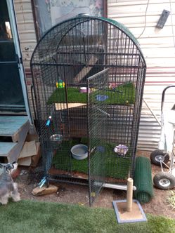 Big macaw's  cage