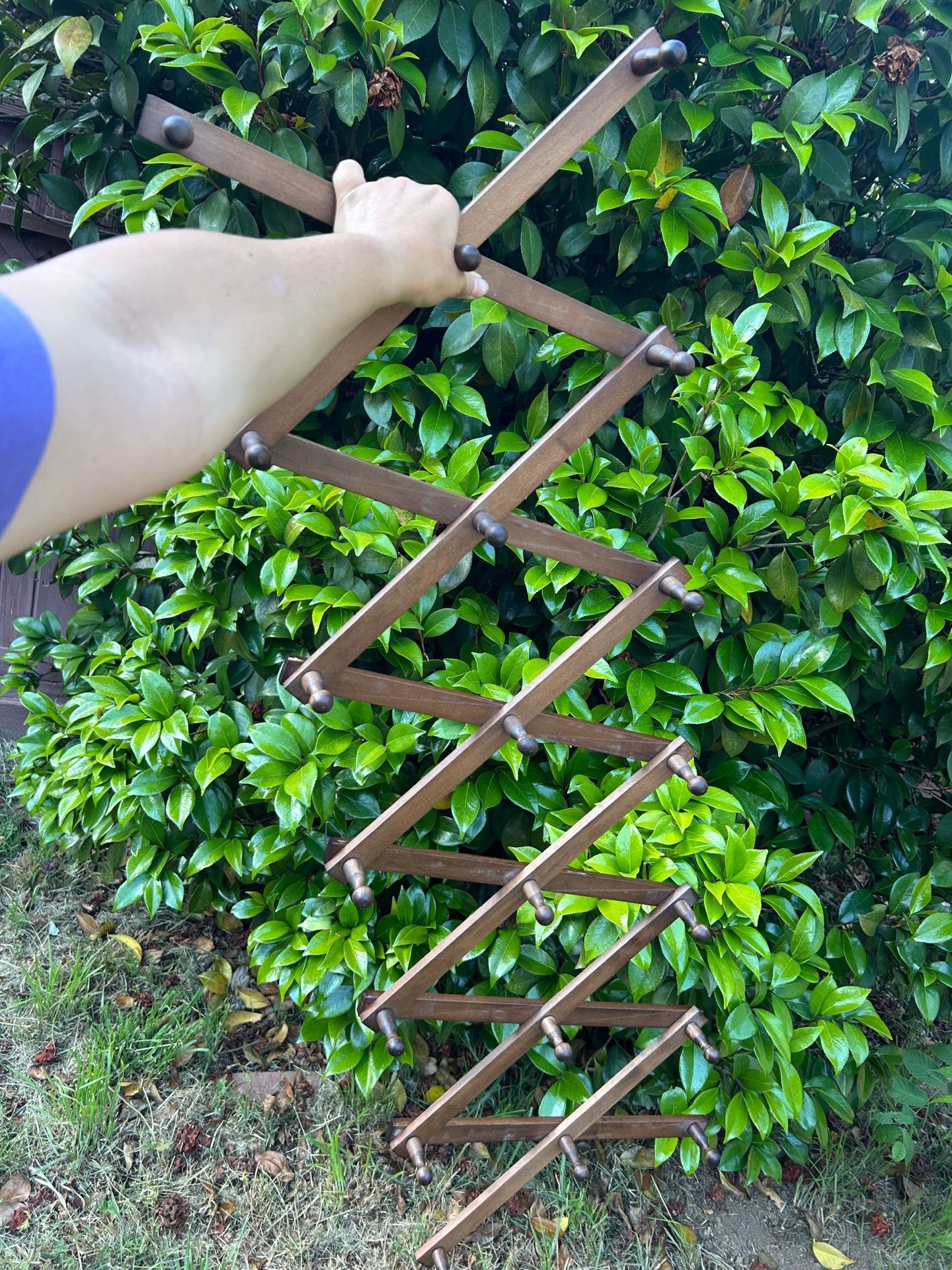 Wooden rack