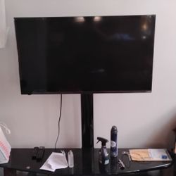 45 Inch Television