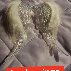 🩷 Angel Wings Oderment 