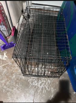 Cage